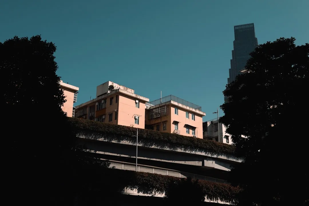 2025年新车延保服务条款变化趋势与车主权益解析